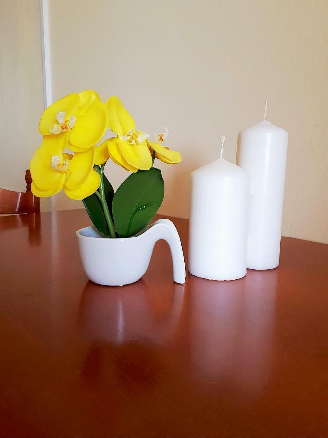 Apartments Dani Бол Екстериор снимка